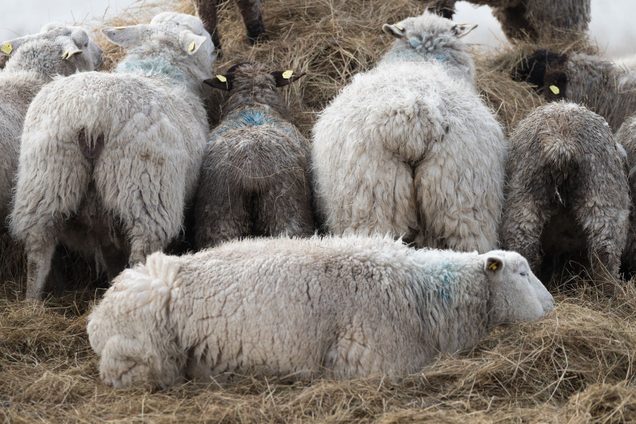 An der Nordseeküste