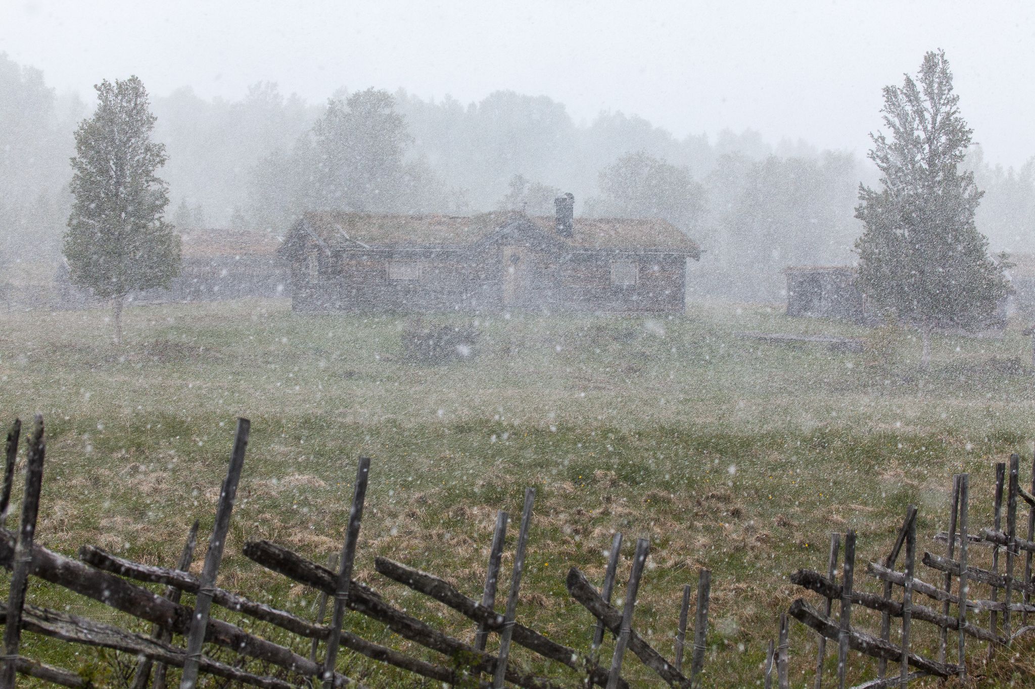 Überraschung: sommerlicher Schnee in Schweden, am 20.6.2014 (ist innerhalb kurzer Zeit getaut)