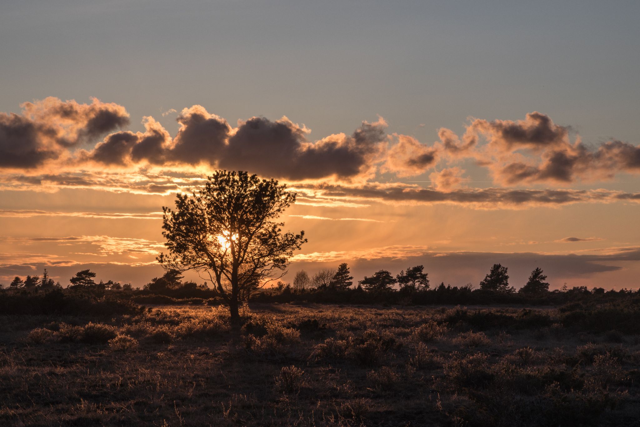 Sonnenuntergang auf Öland, Schweden