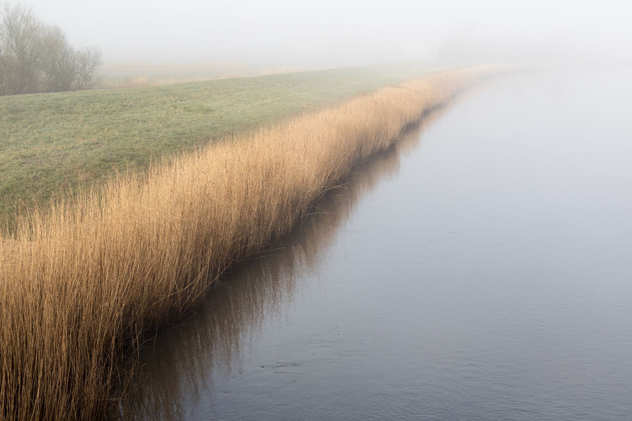 Nebel uf der Insel Mandoe, Dänemark