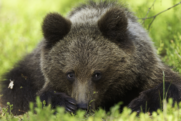 2009-2017 Irgendwo in Skandinavien