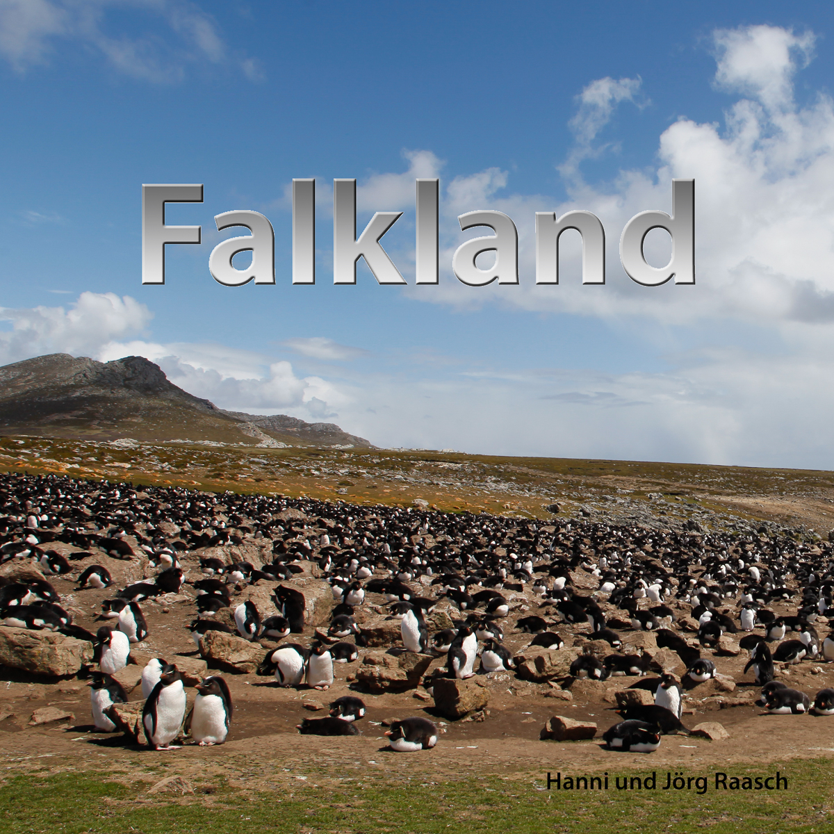 2009 Falkland