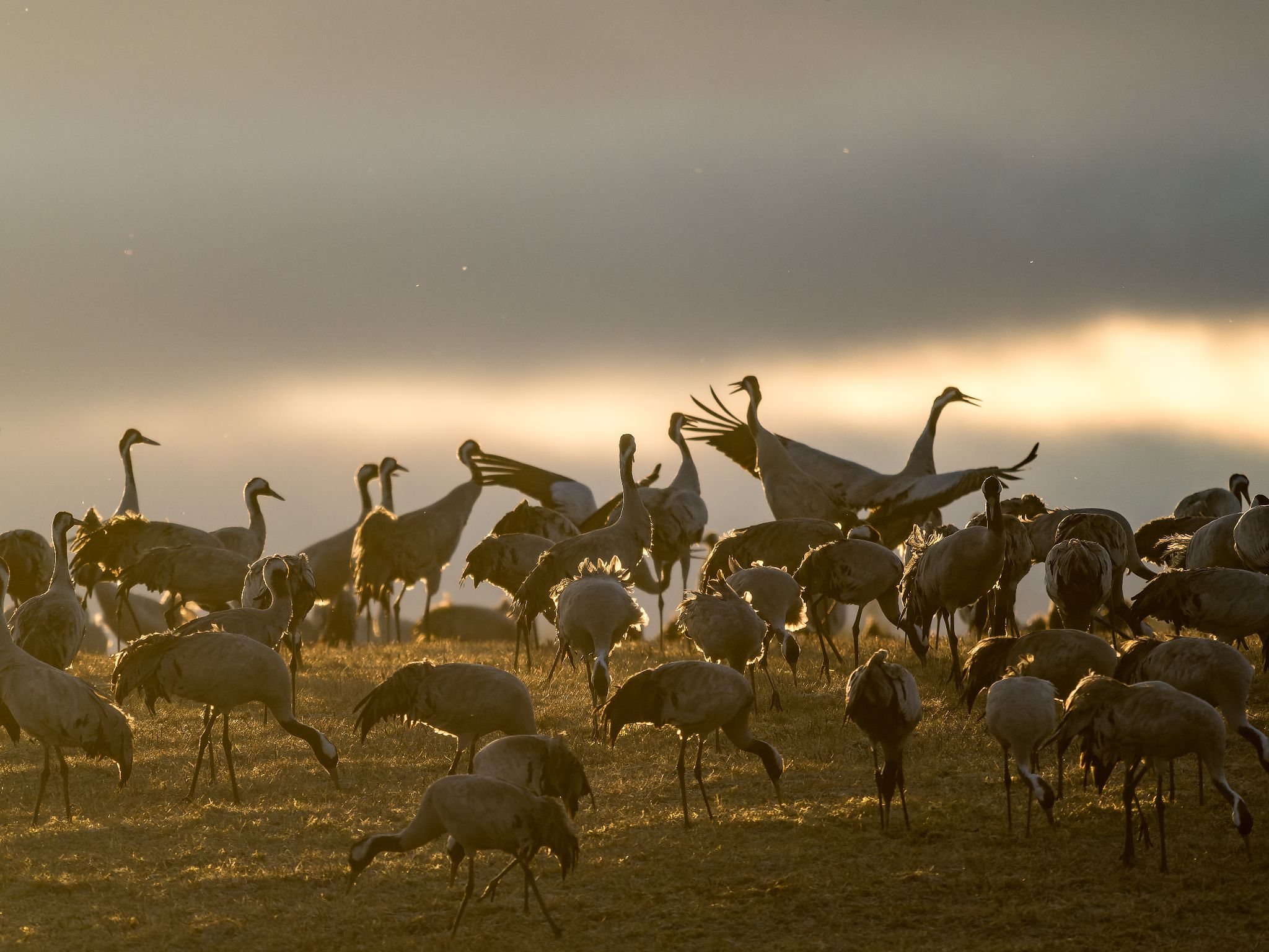 110 250322 0636 J  1JR0163 DxO DeepPRIME