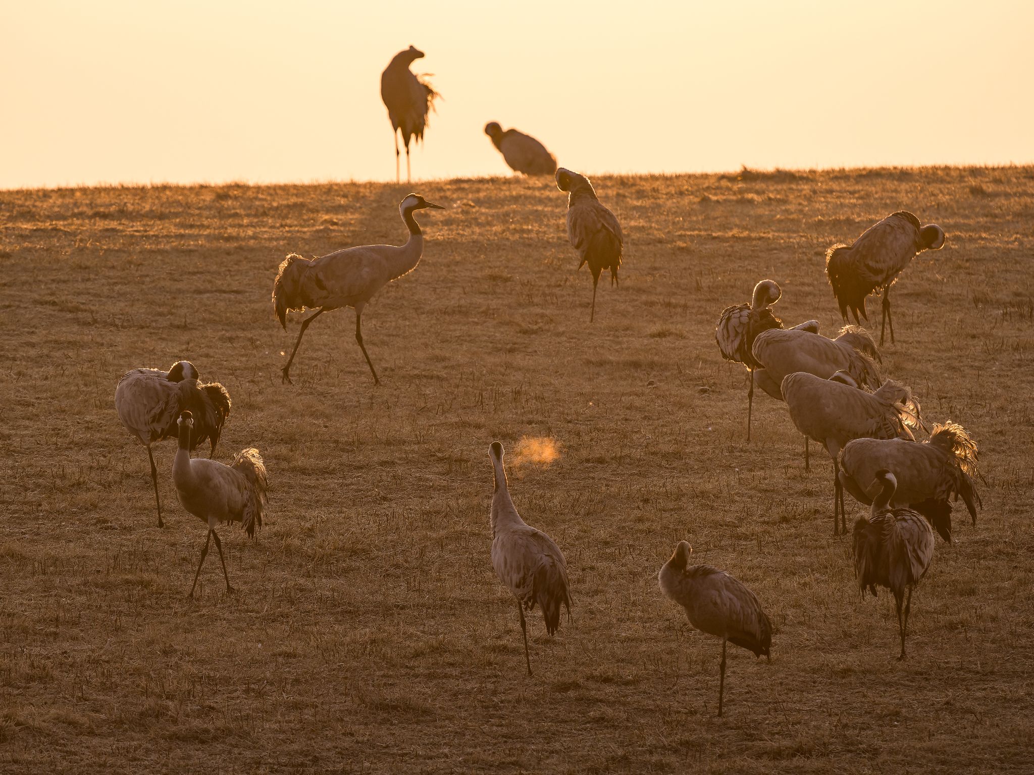 117 250324 0634 J  1JR0031 DxO DeepPRIME