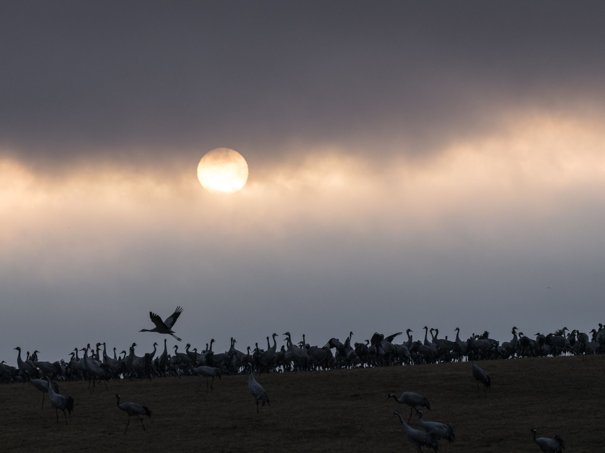 118 250323 0629 J  1JR2688 DxO DeepPRIME