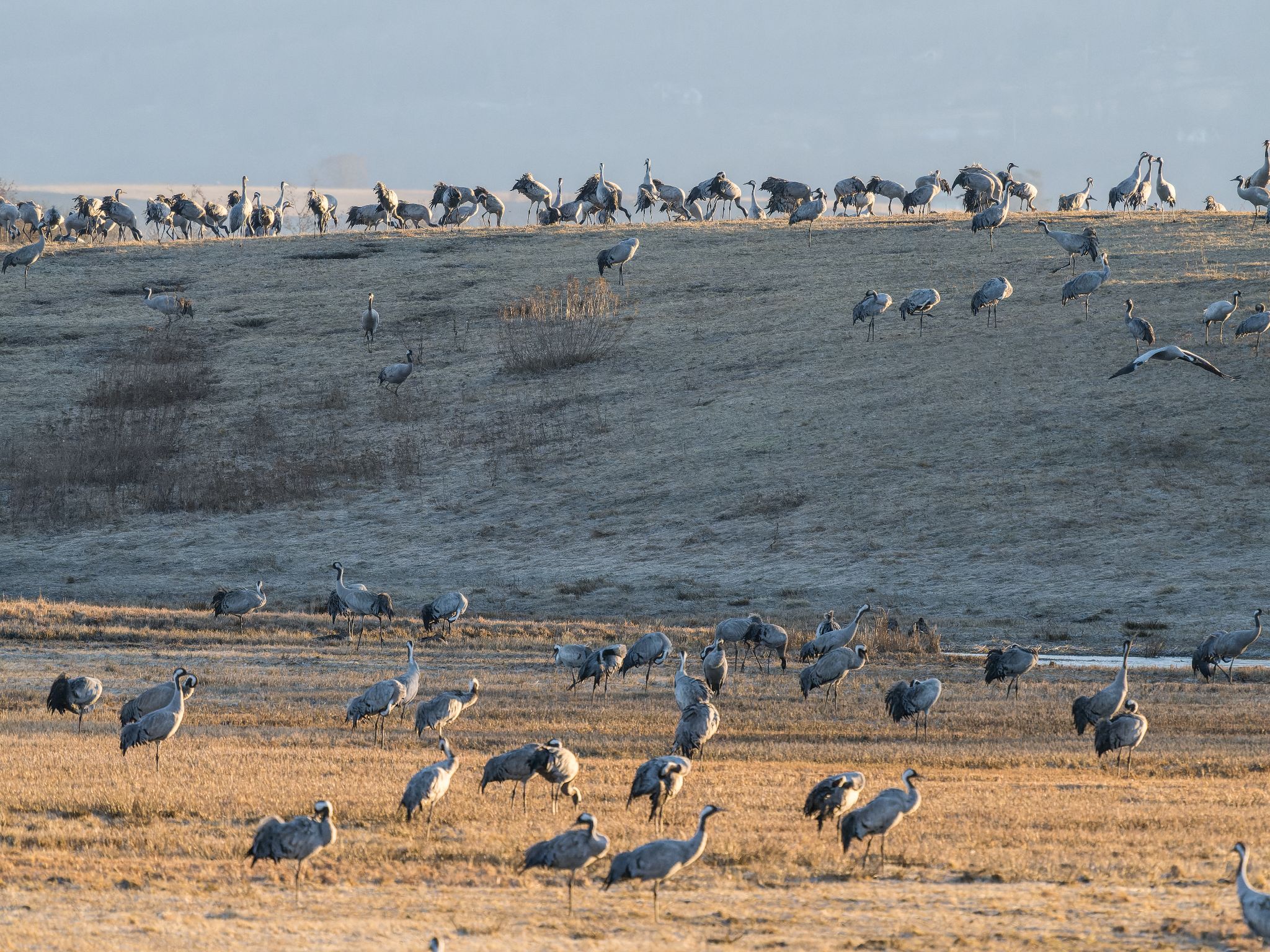 251 250322 0644 J  1JR0330 DxO DeepPRIME