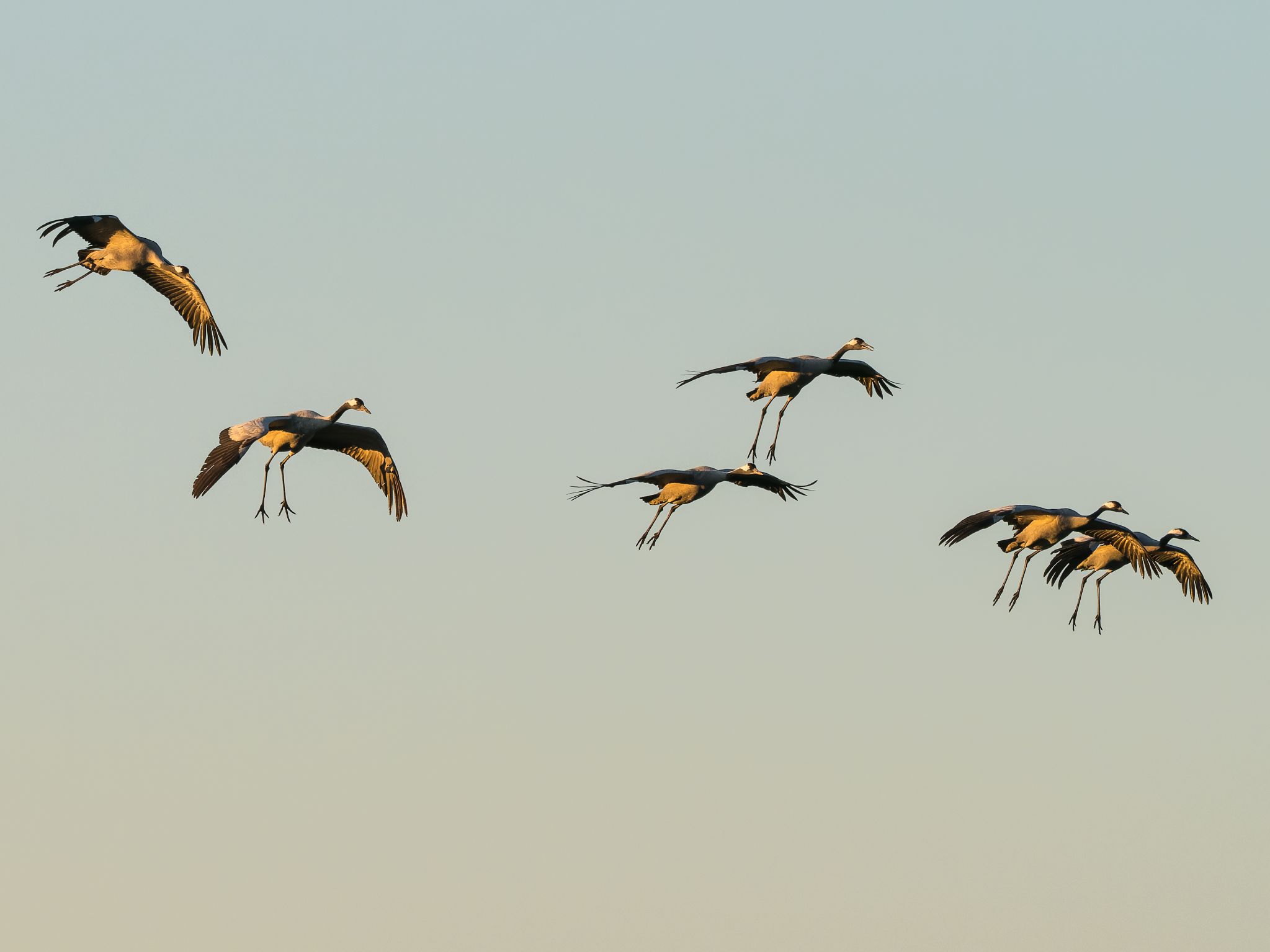 501 250322 1802 J  1JR1637 DxO DeepPRIME