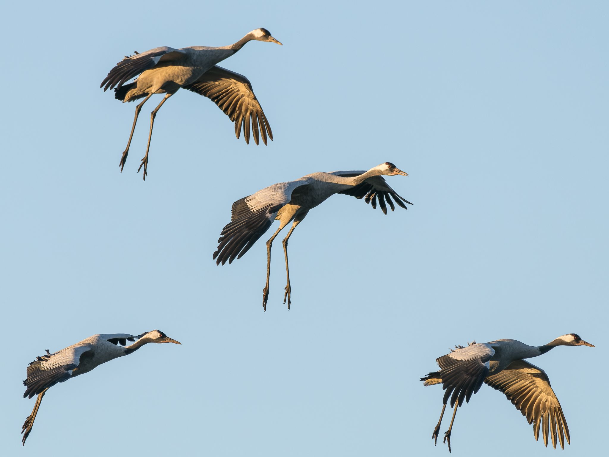 502 250321 1748 J  1JR3316 DxO DeepPRIME