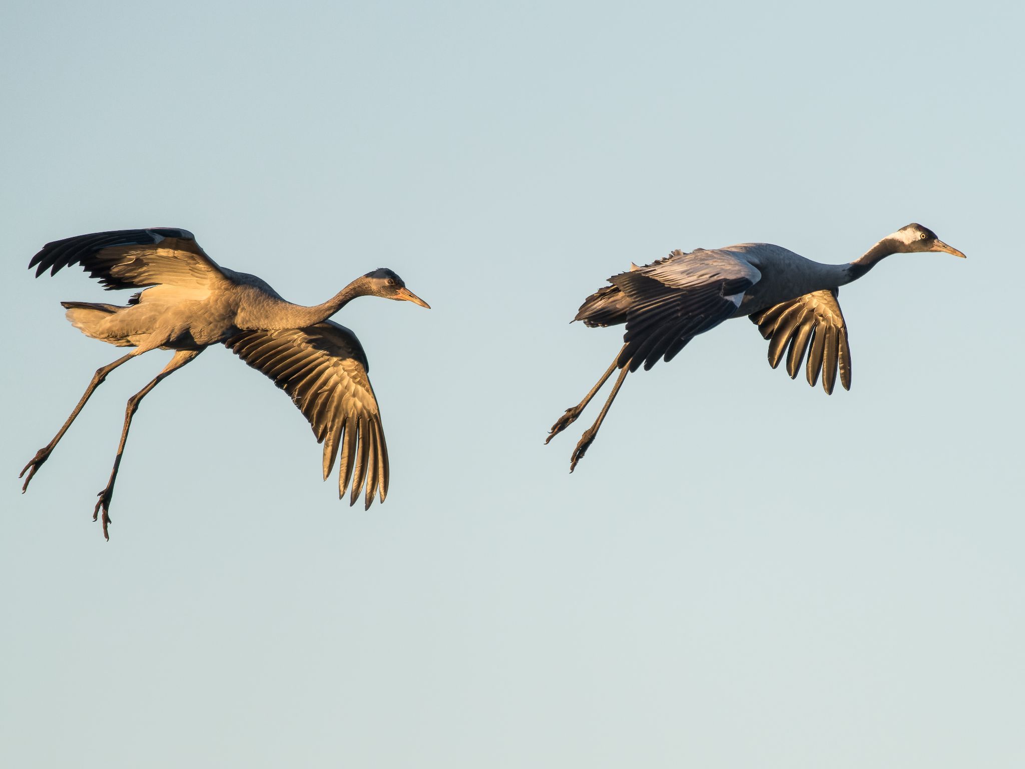 514 250322 1753 J  1JR1175 DxO DeepPRIME