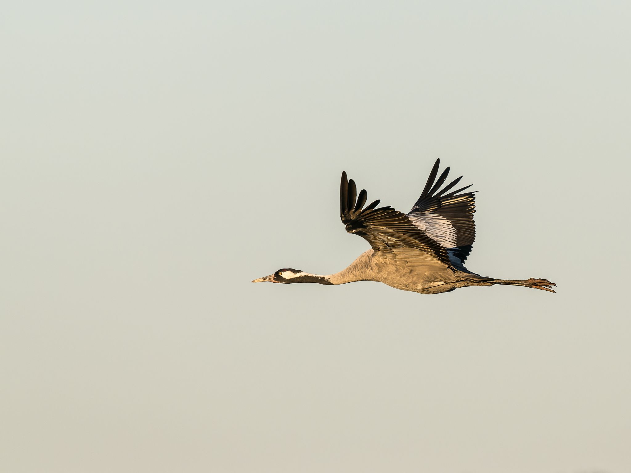 602 250321 1746 J  1JR3027 DxO DeepPRIME