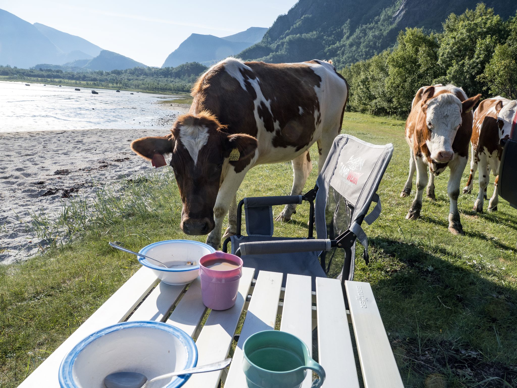 250722 0818 J  2JR0051