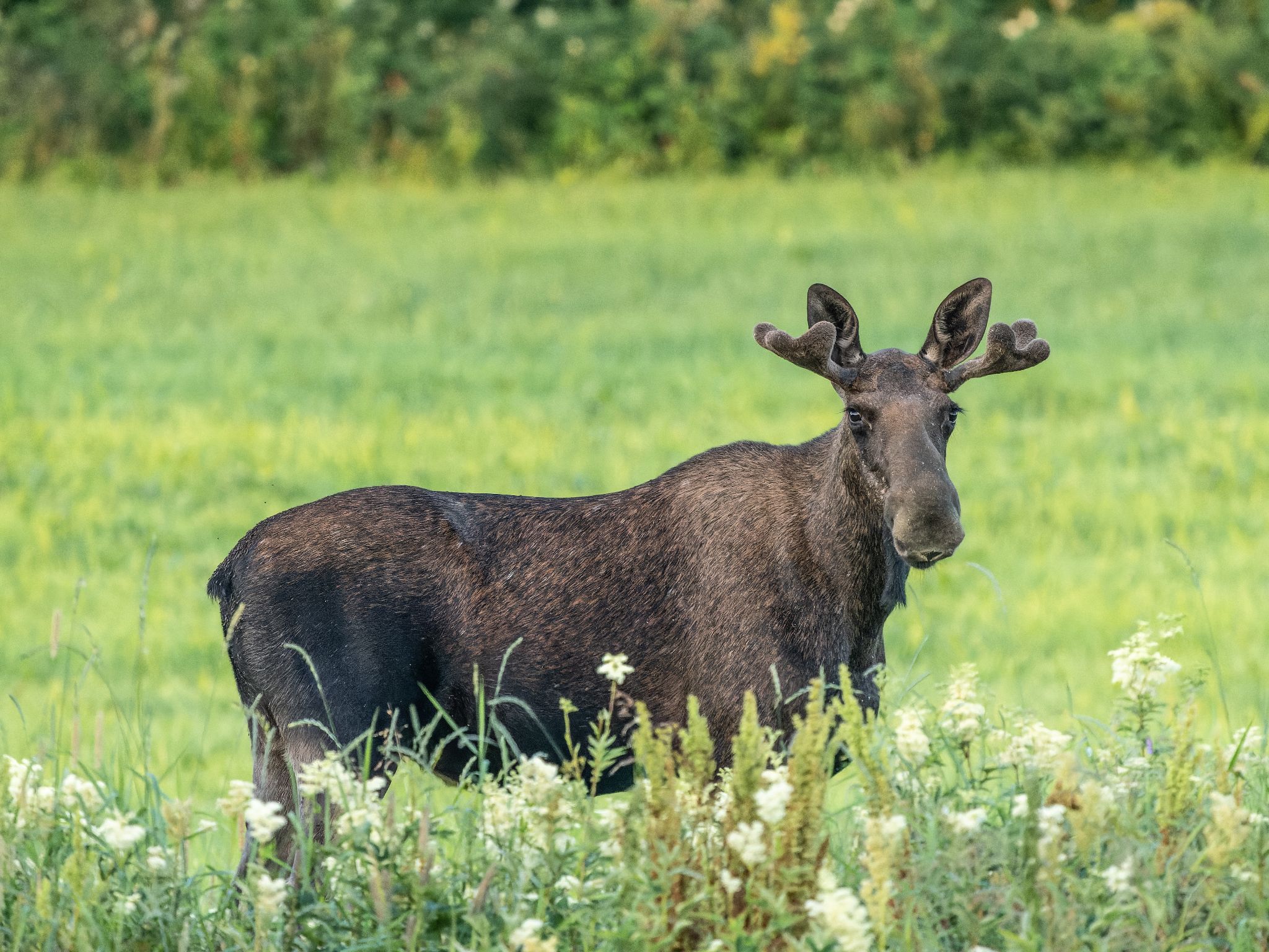 250723 0343 J 250723 0343 J  1JR0042 DxO DeepPRIME 2