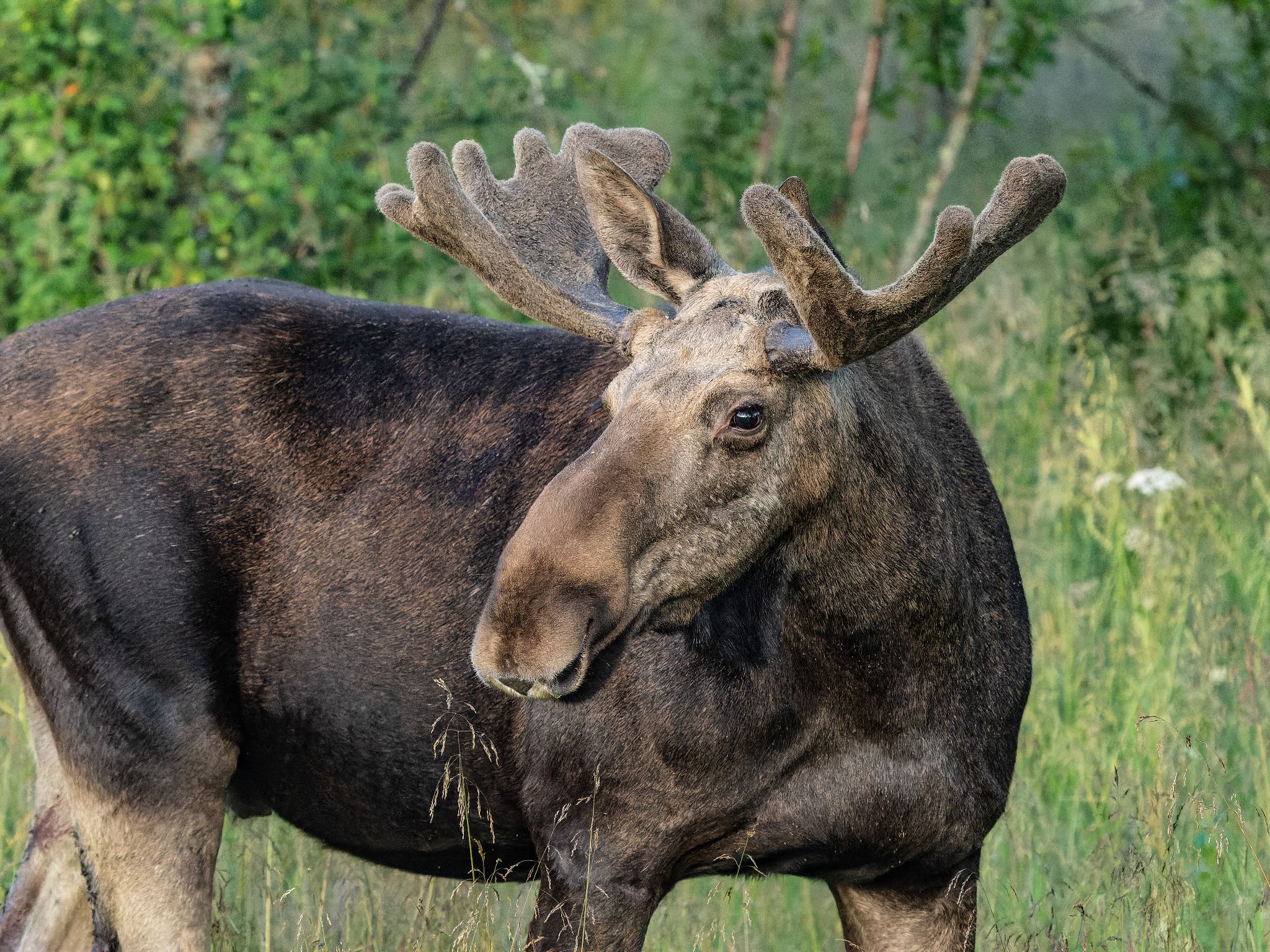 250723 0356 J 250723 0356 J  1JR0250 DxO DeepPRIME 2