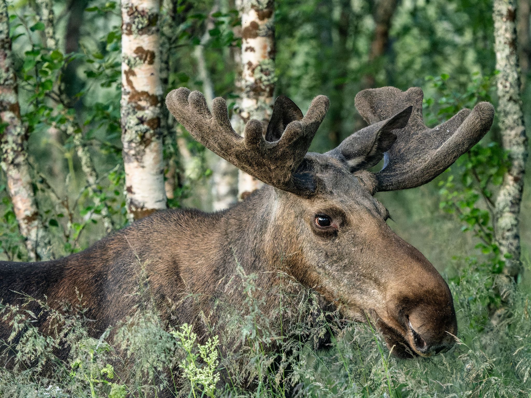 250723 0401 J 250723 0401 J  1JR0436 DxO DeepPRIME 2