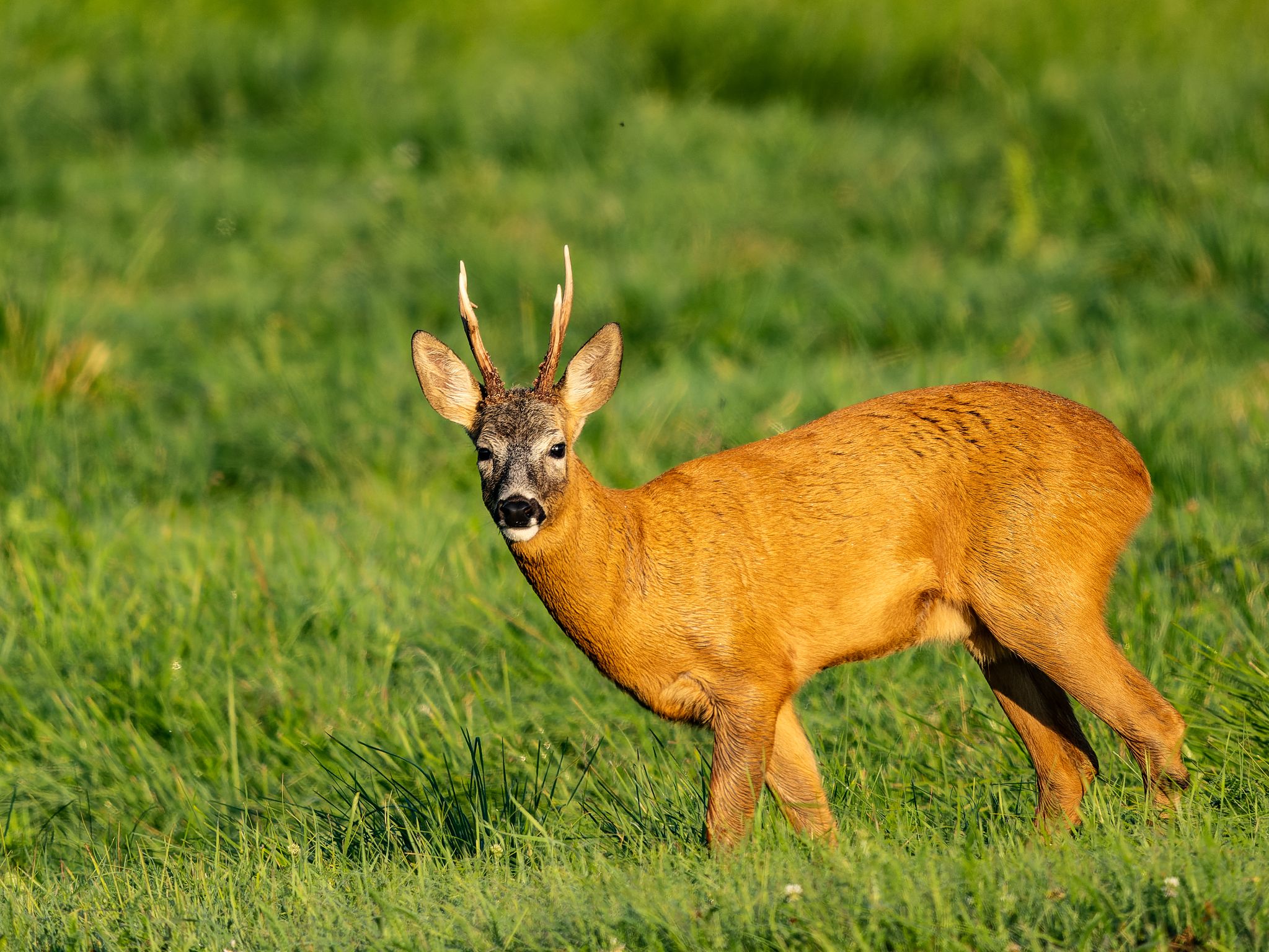 250723 0541 J 250723 0541 J  1JR0855 DxO DeepPRIME 2