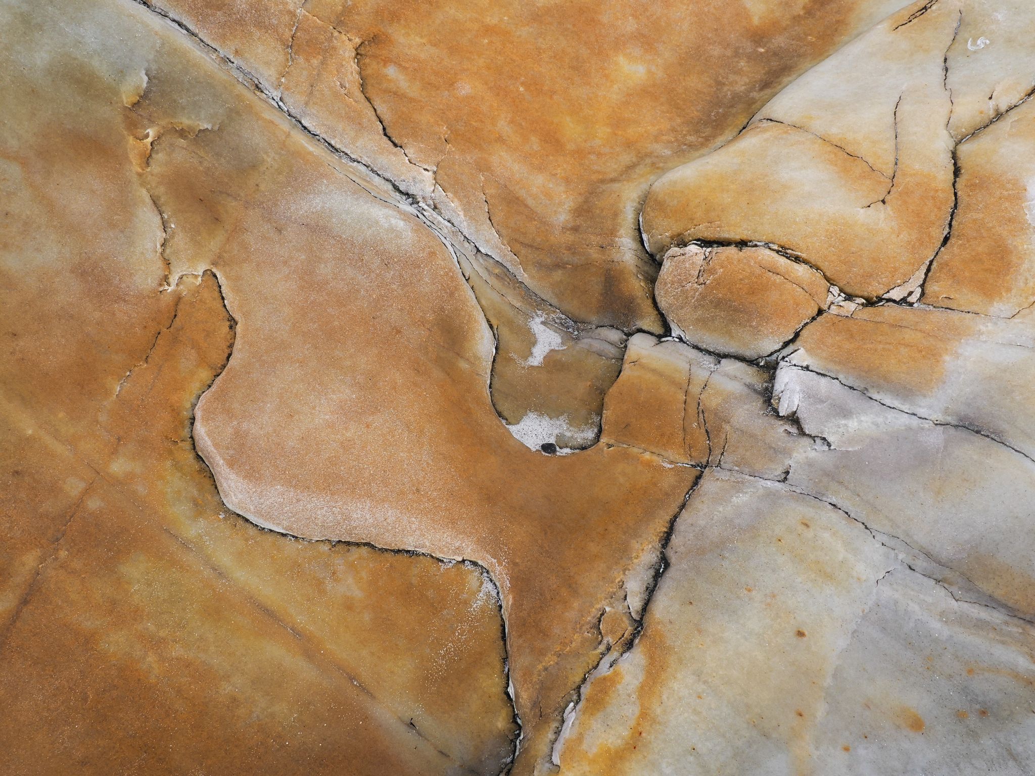 250727 1004 H  2HR0244