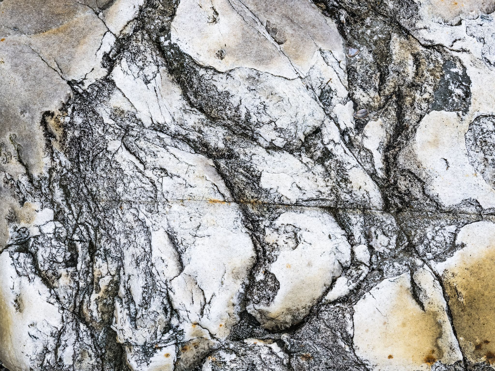 250727 1010 J 250727 1010 J  2JR0142 DxO DeepPRIME 2