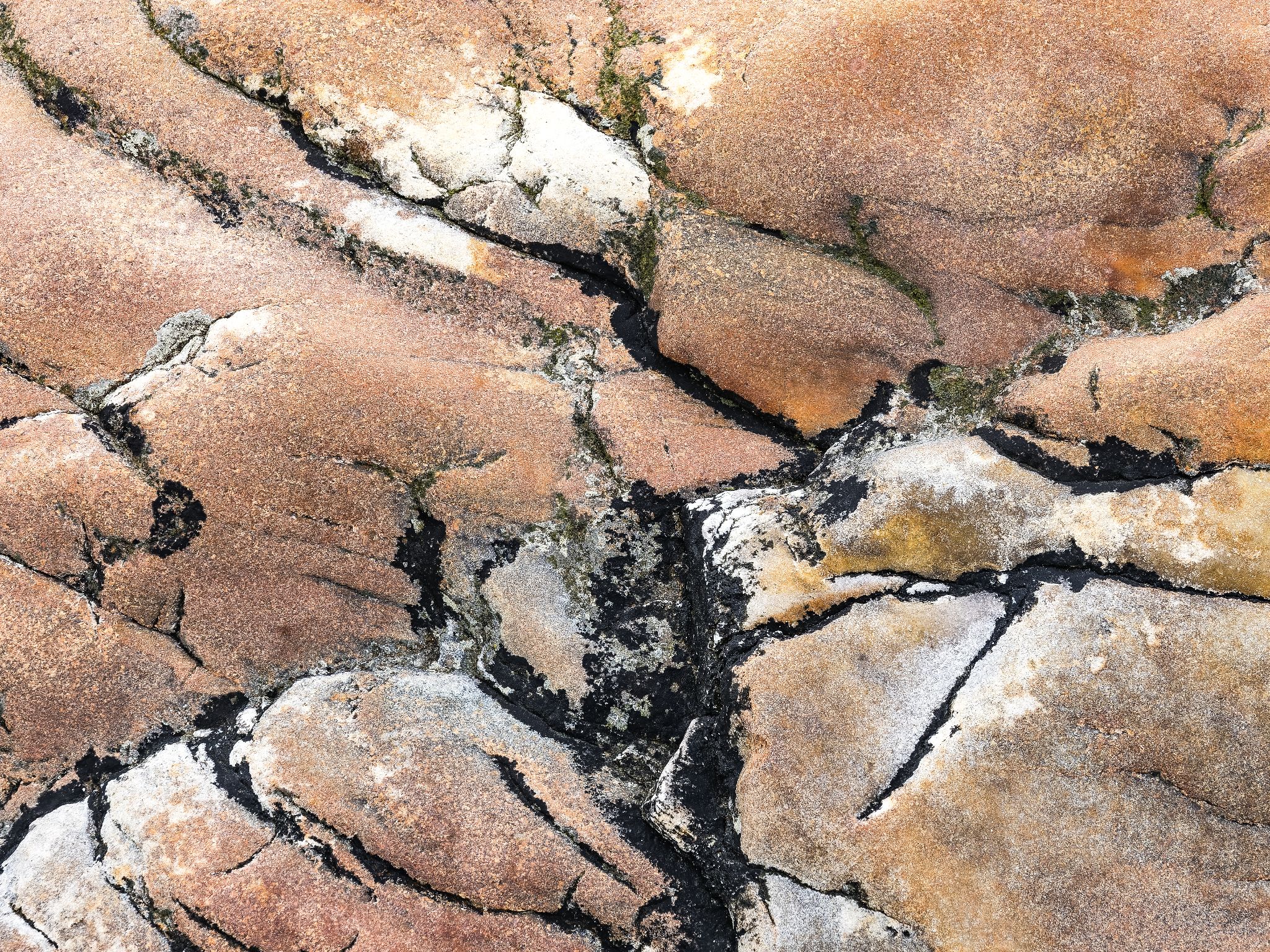 250727 1049 J 250727 1049 J  2JR0339 DxO DeepPRIME 2