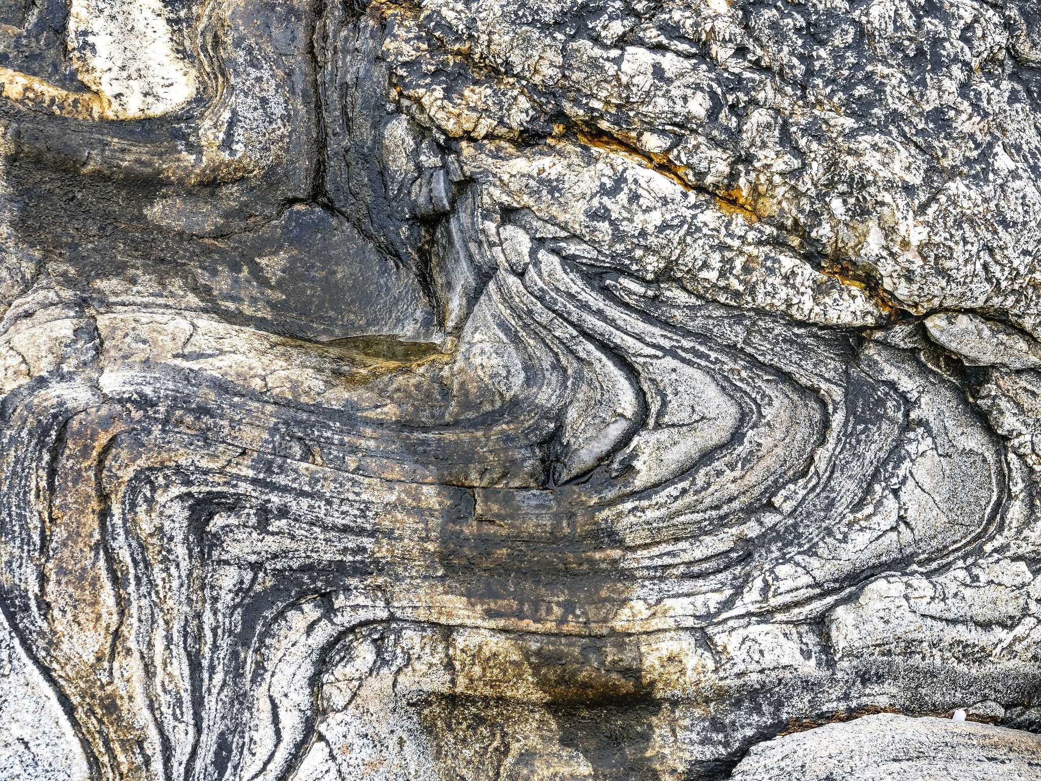 250727 1050 J 250727 1050 J  2JR0346 DxO DeepPRIME 2