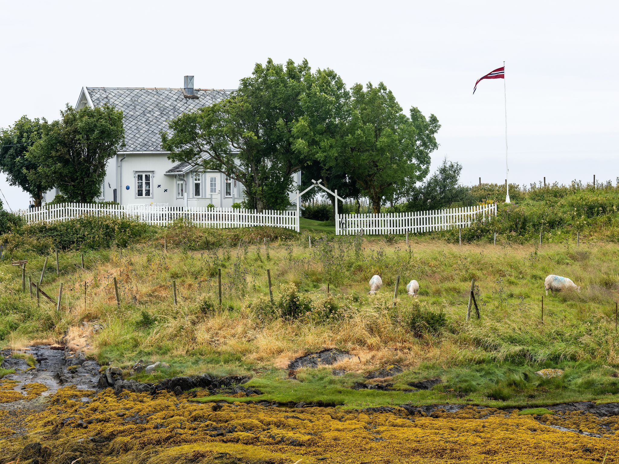 250730 0920 J 250730 0920 J  2JR0017 DxO DeepPRIME 2