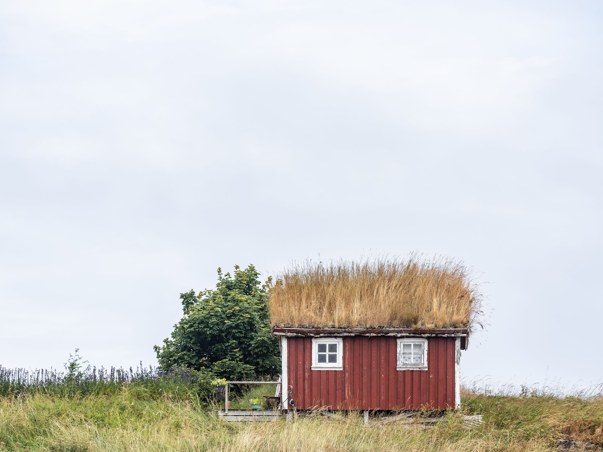 250730 1130 J 250730 1130 J  2JR0140 DxO DeepPRIME 2