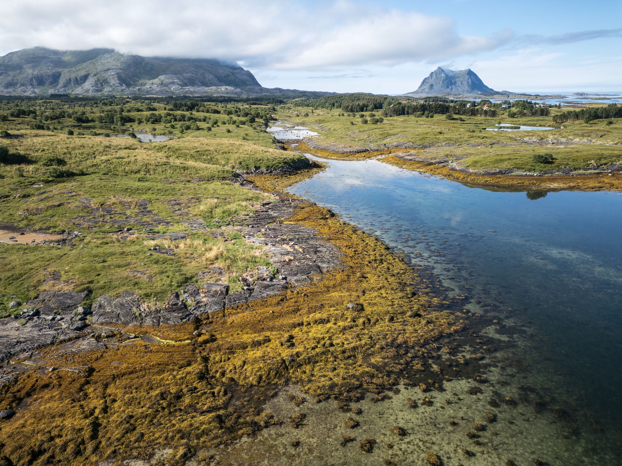 250731 1019 J 250731 1019 J DJI 0031 DxO DeepPRIME 2