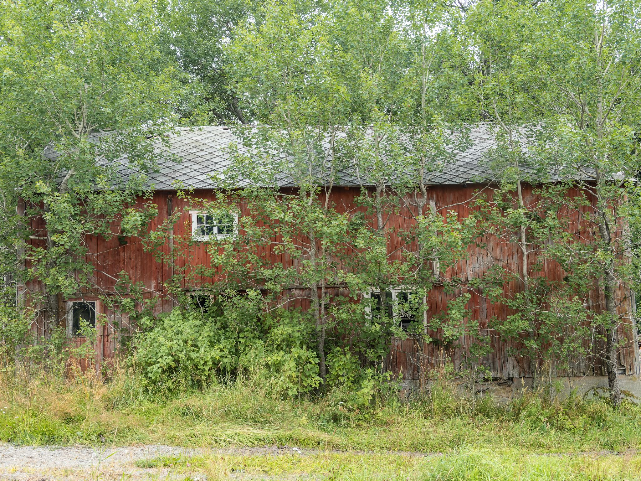 250802 1134 J 250802 1134 J  2JR0025 DxO DeepPRIME 2