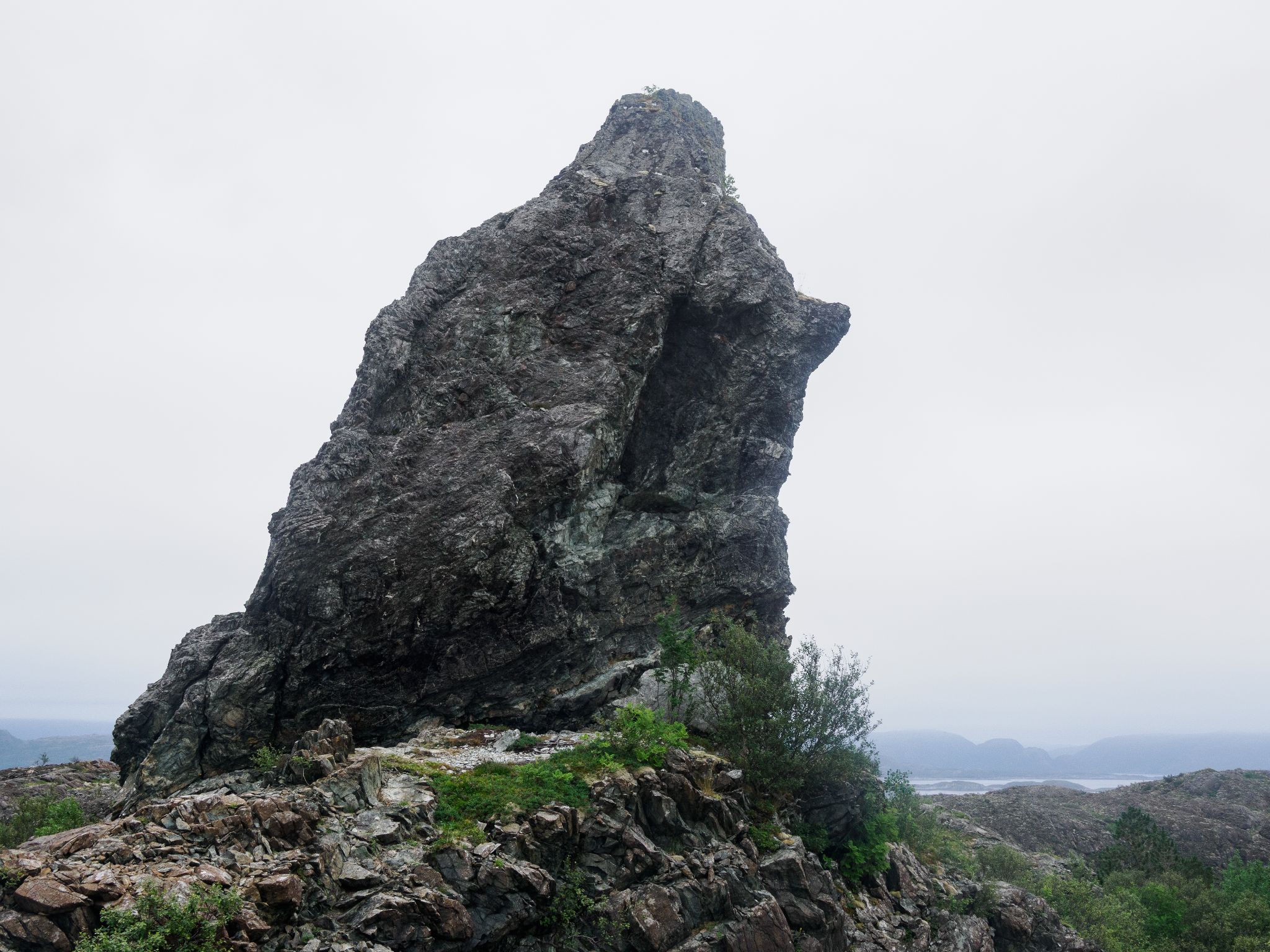 250802 1246 H  2HR0353