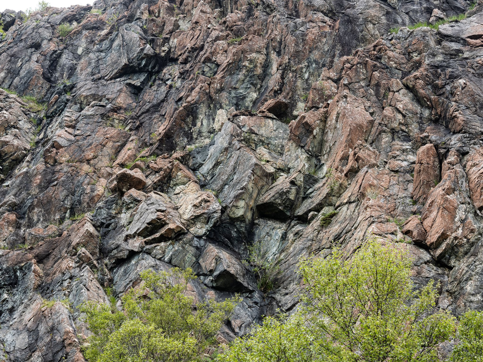 250802 1439 J 250802 1439 J  2JR0142 DxO DeepPRIME 2