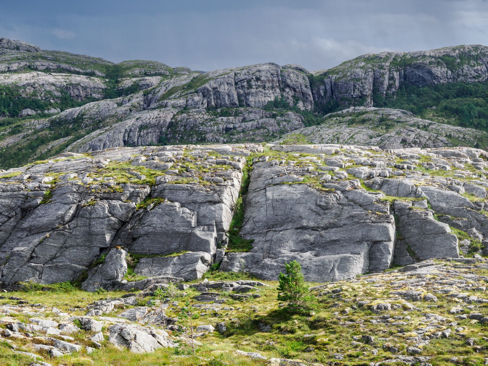 250808 1303 H  2HR0125