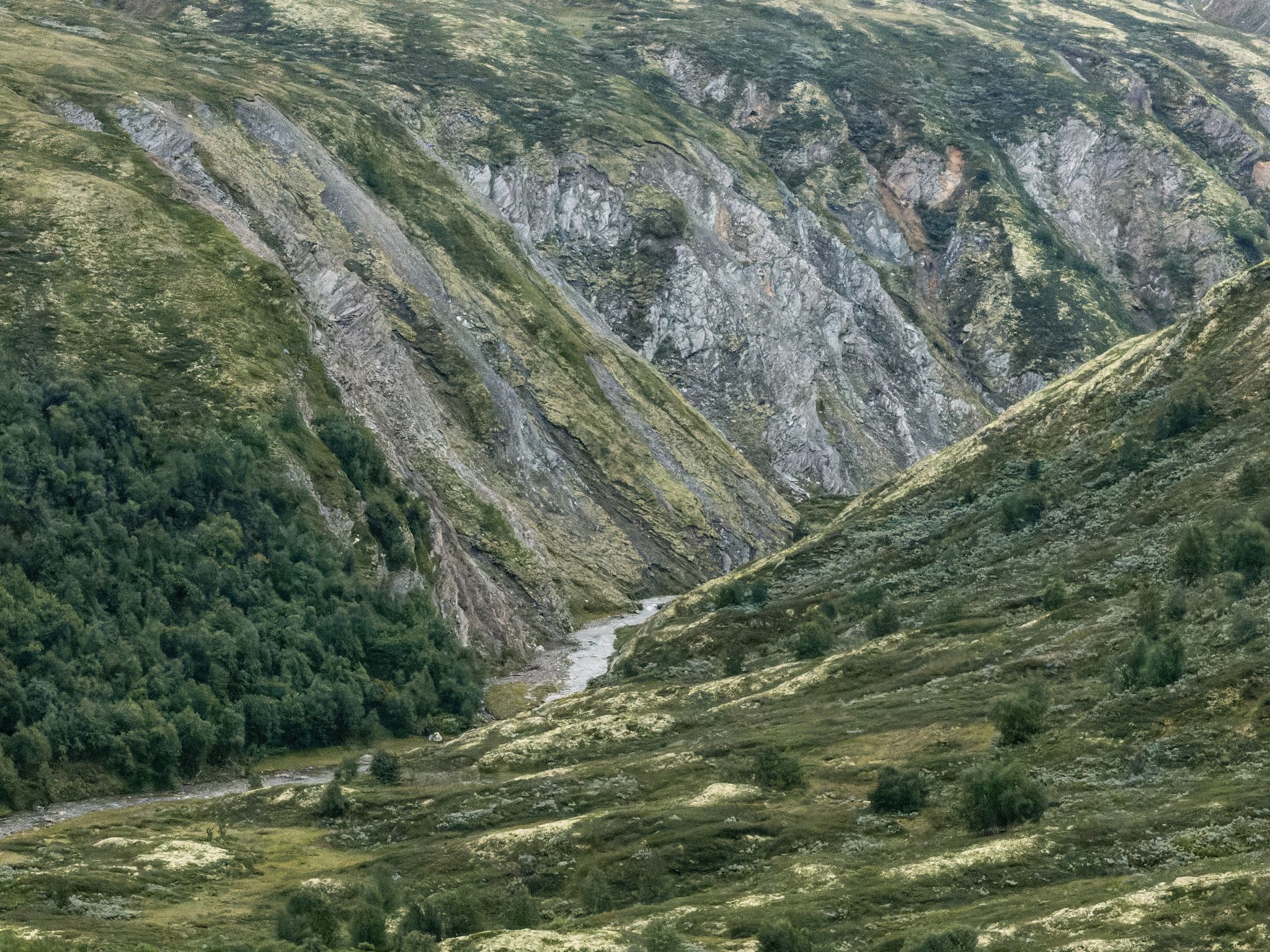 250815 1040 J 250815 1110 J  2JR0005 DxO DeepPRIME 2