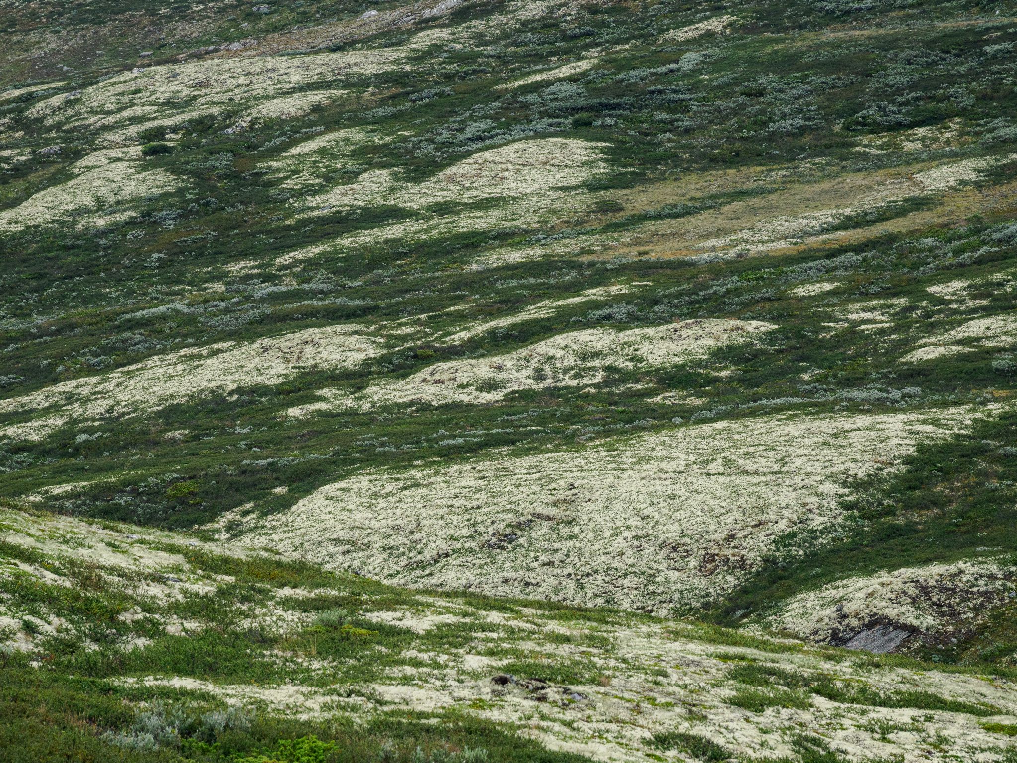 250815 1058 H  2HR0011