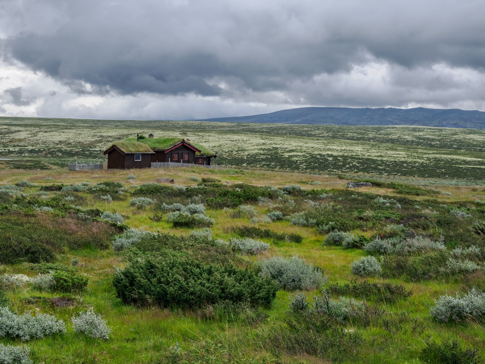 250815 1110 H  2HR0001 HDR