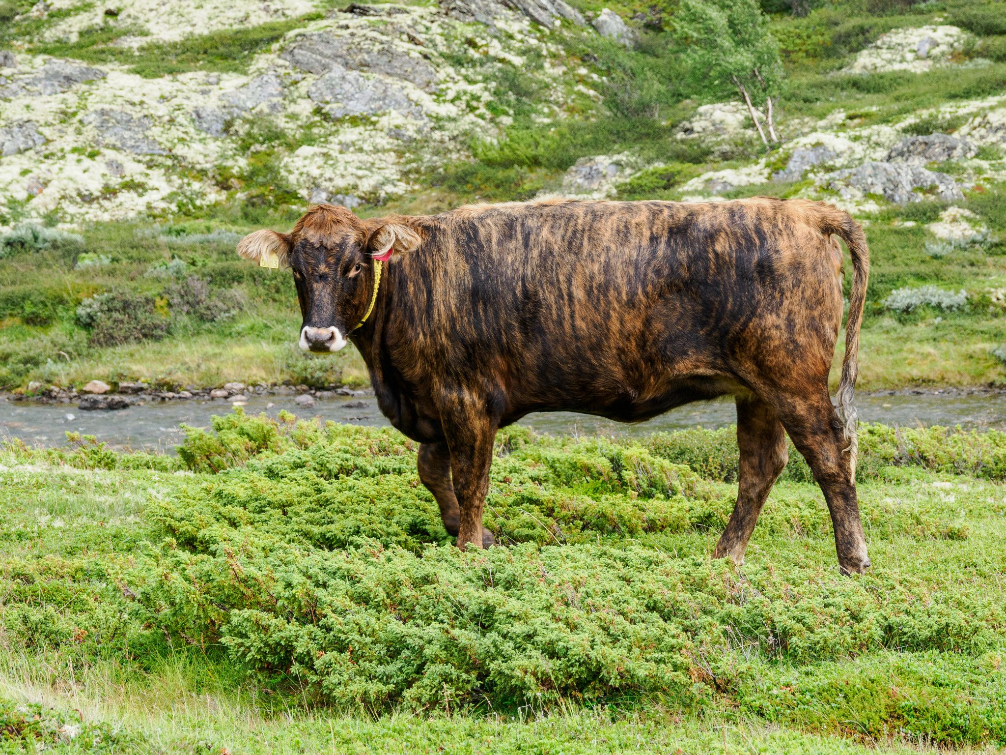 250815 1155 H  2HR0025