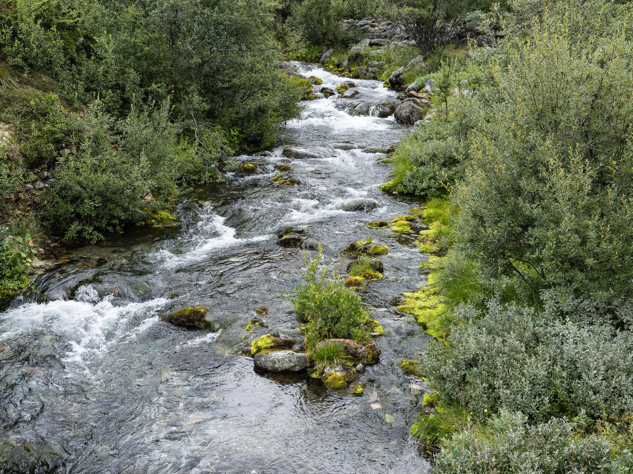 250815 1204 J 250815 1204 J  2JR0025 DxO DeepPRIME 2