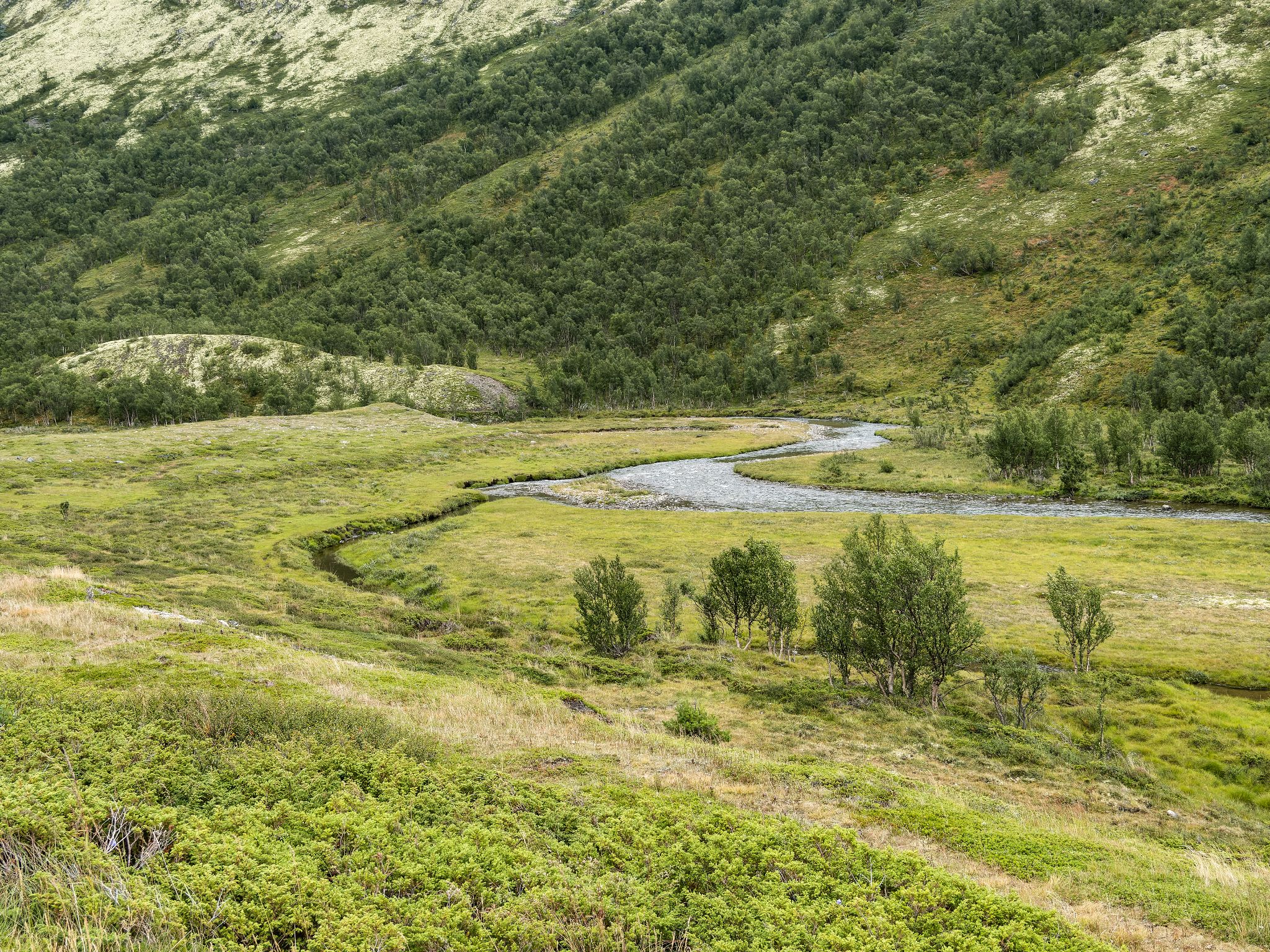 250815 1242 J 250815 1242 J  2JR0027 DxO DeepPRIME 2