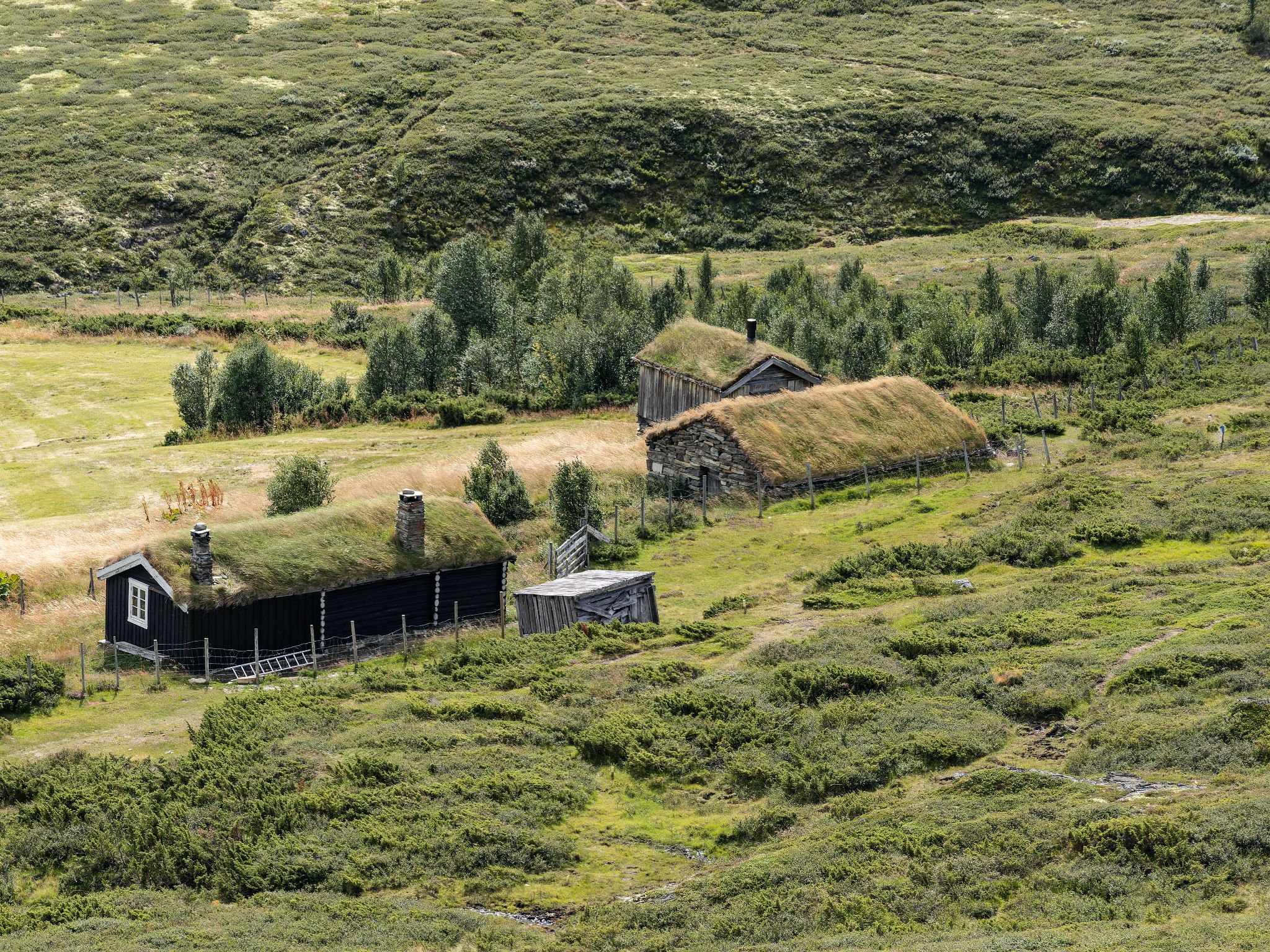 250815 1315 J 250815 1315 J  2JR0050 DxO DeepPRIME 2