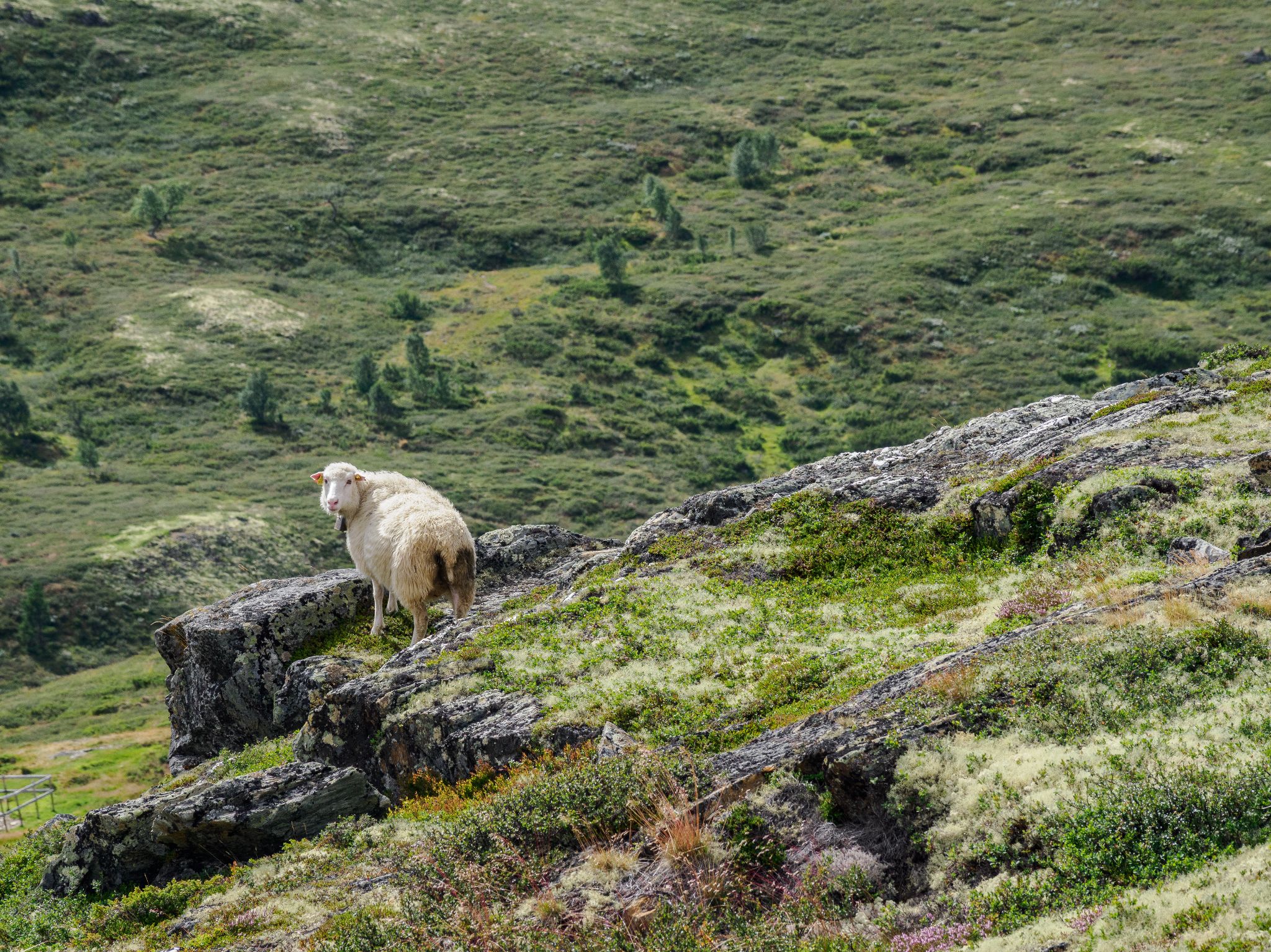 250815 1316 H  2HR0048