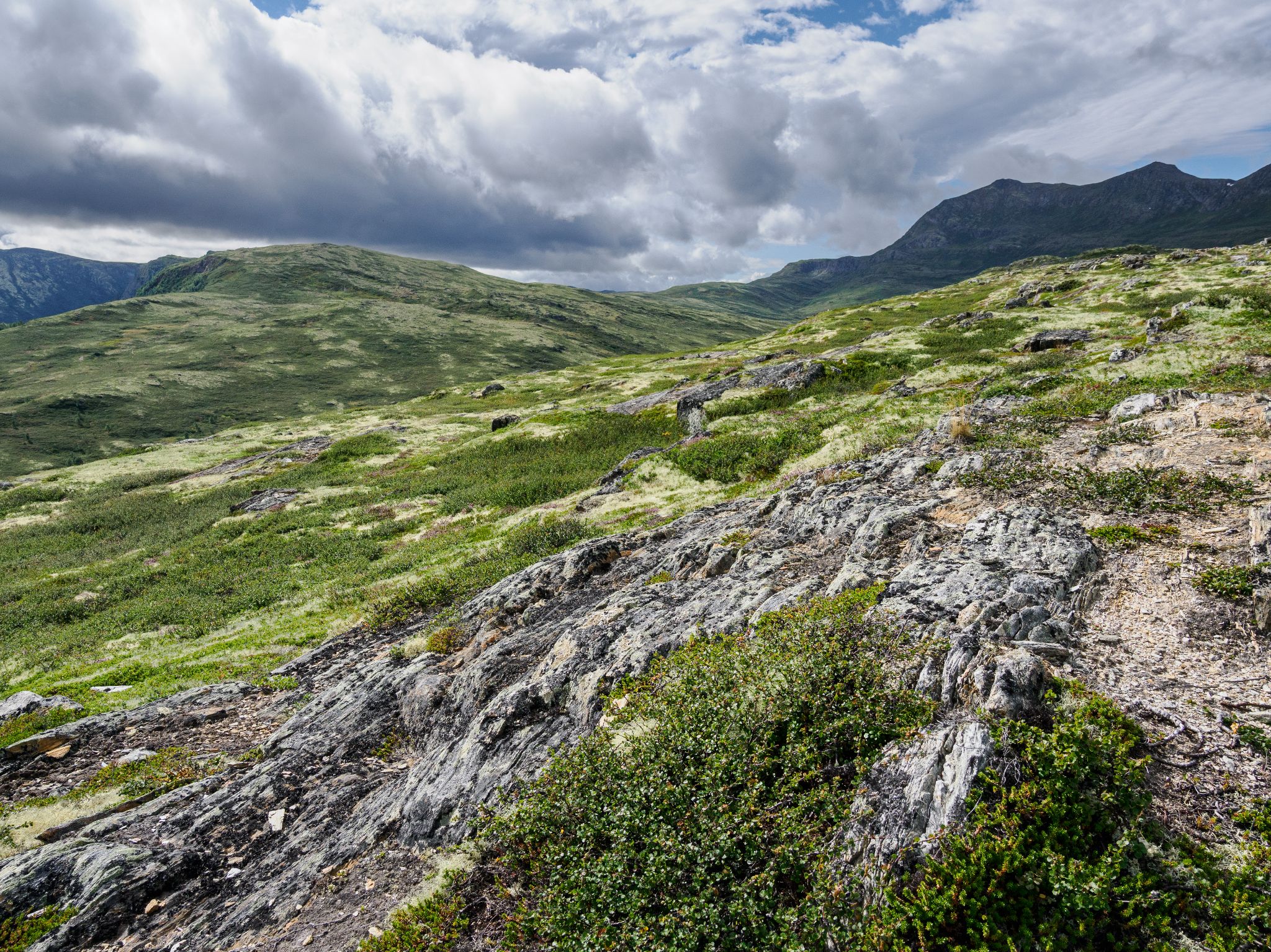 250815 1317 H  2HR0049