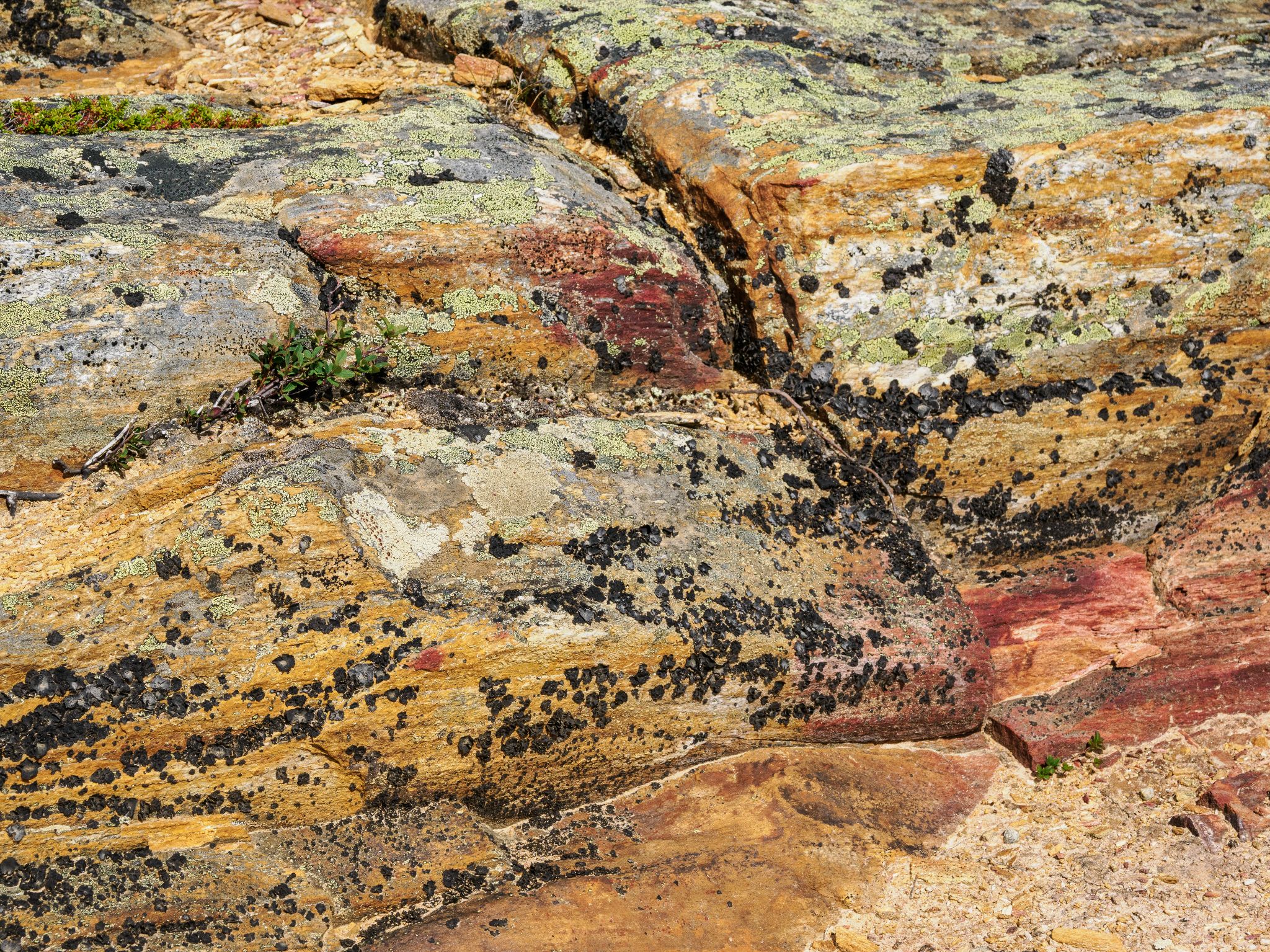 250815 1322 H  2HR0057