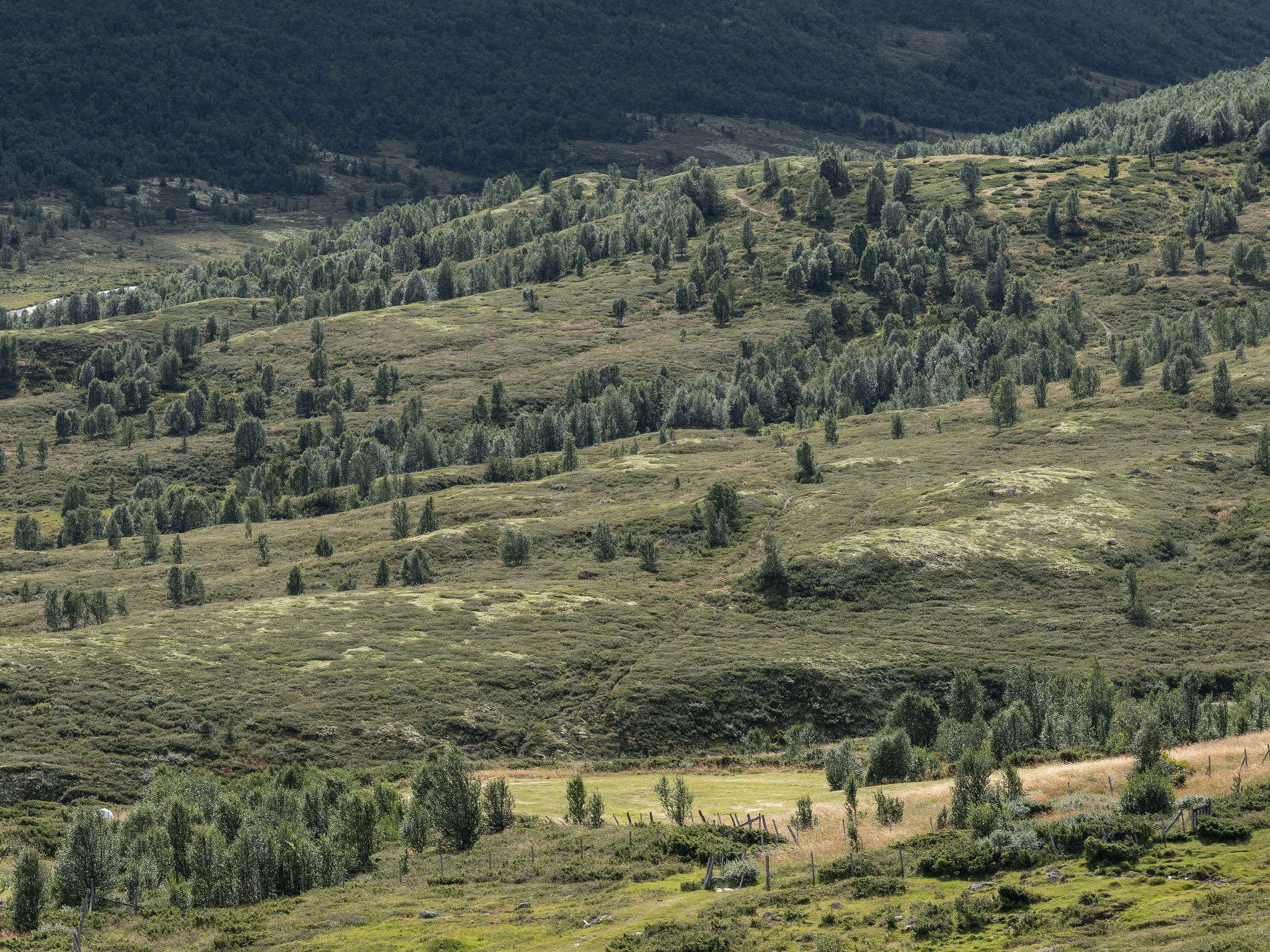 250815 1327 J 250815 1327 J  2JR0109 DxO DeepPRIME 2