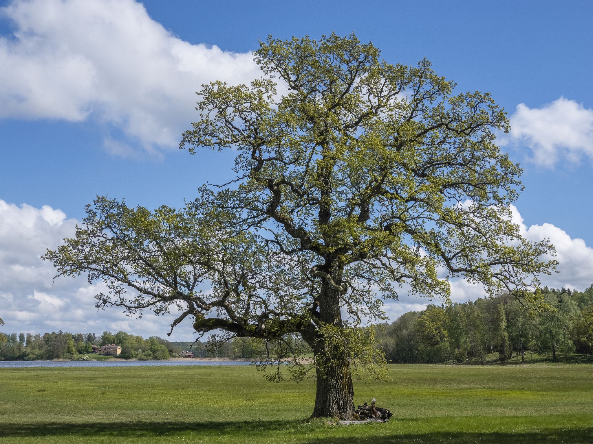 053 260514 1340 J  2JR0137 HDR