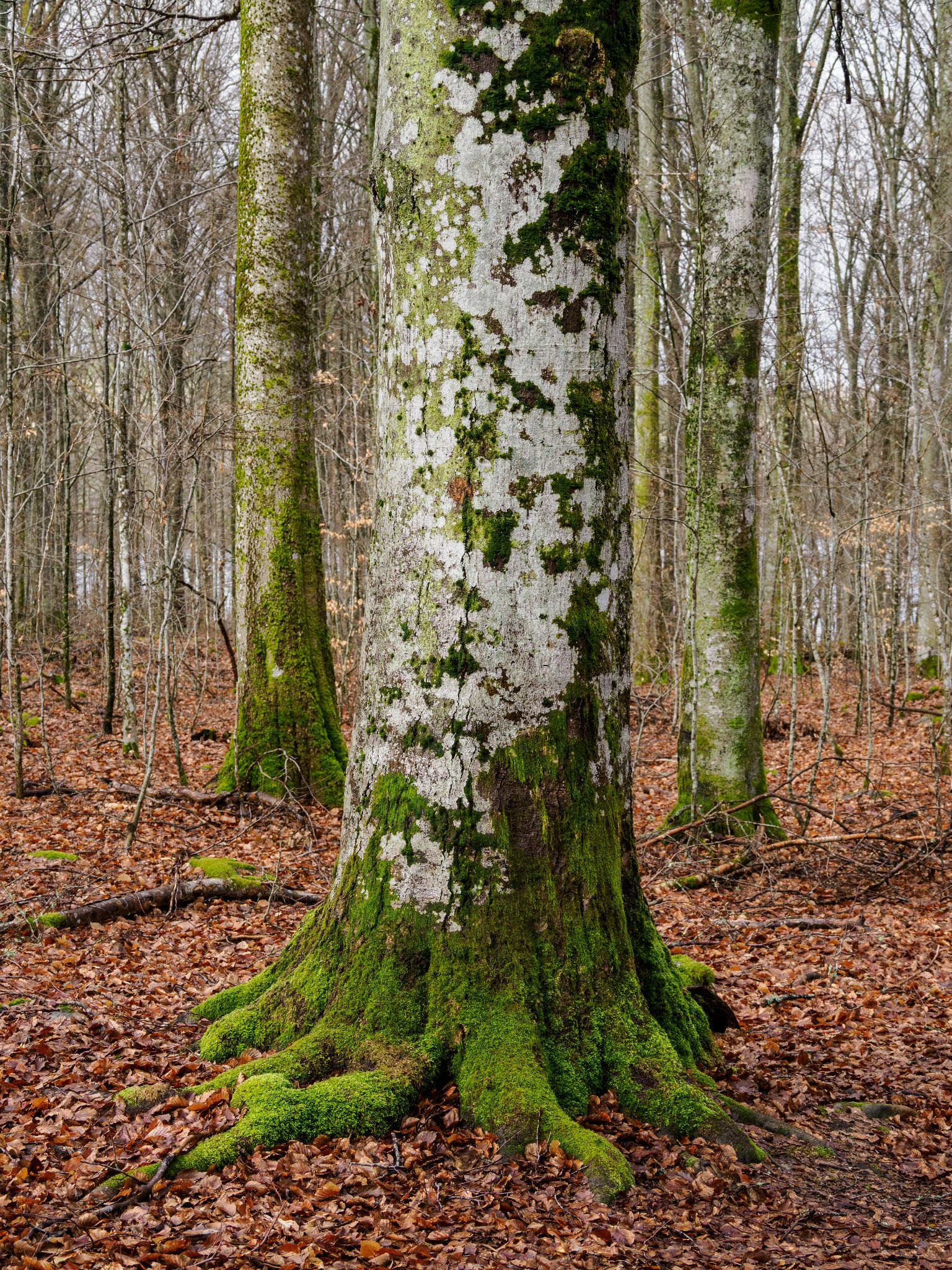 260326 1109 H  2HR0255